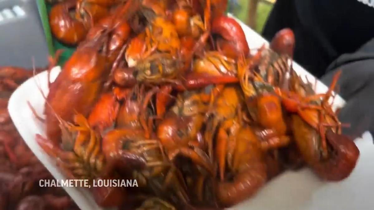 Despite Louisiana’s crawfish shortage, demand is still high at festival