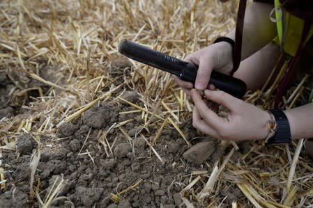 Army veterans and archeologists dig as part of archaeological research campaign called "Waterloo Uncovered" in Waterloo