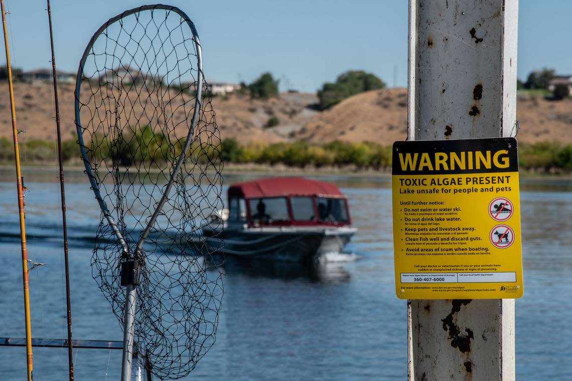 Part of the Columbia River shoreline in Richland were closed to recreation in late summer and fall 2021 due to toxic algae.