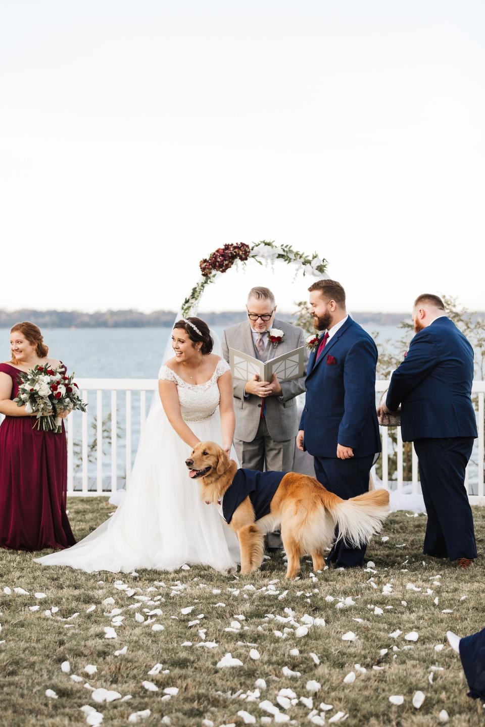 dog wedding party