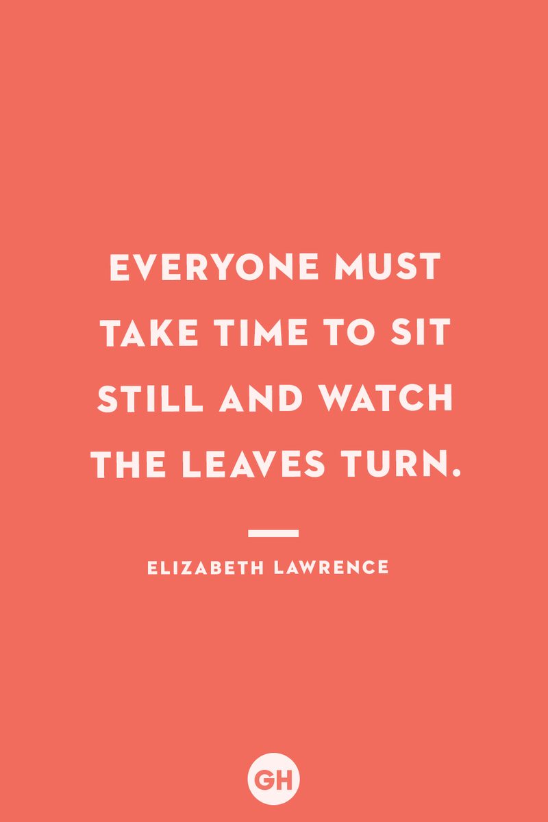 <p>Everyone must take time to sit still and watch the leaves turn.</p>