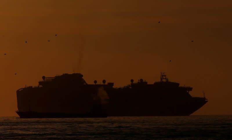 Seagulls fly over cruise ship Diamond Princess anchored off the Yokohama Port, after a Hong Kong passenger who sailed on the vessel last month tested positive for the Wuhan coronavirus, in Yokohama