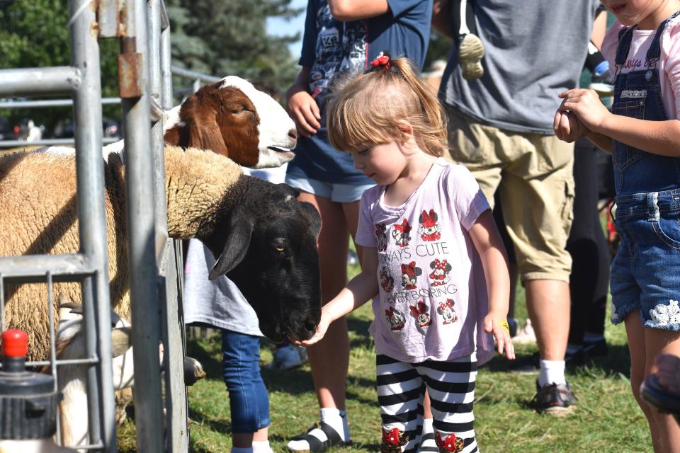 Lilliana Doty, 2, of Tecumseh feeds a goat Sept. 27, 2021, while with her family at the Clinton Fall Festival. A petting zoo returns as part of the attractions at the 2022 Clinton Fall Festival, which takes plane Sept. 23-25.