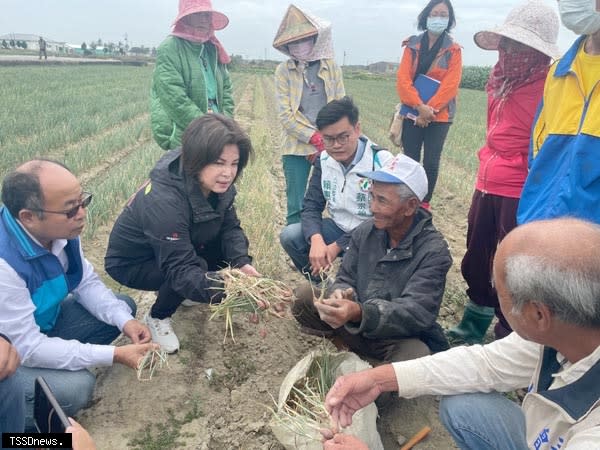 立委賴惠員邀農糧署南區分署長羅正宗至北門區紅蔥頭產地現地會勘，討論紅蔥頭產期調節、產銷失衡協助方案。（記者李嘉祥攝）