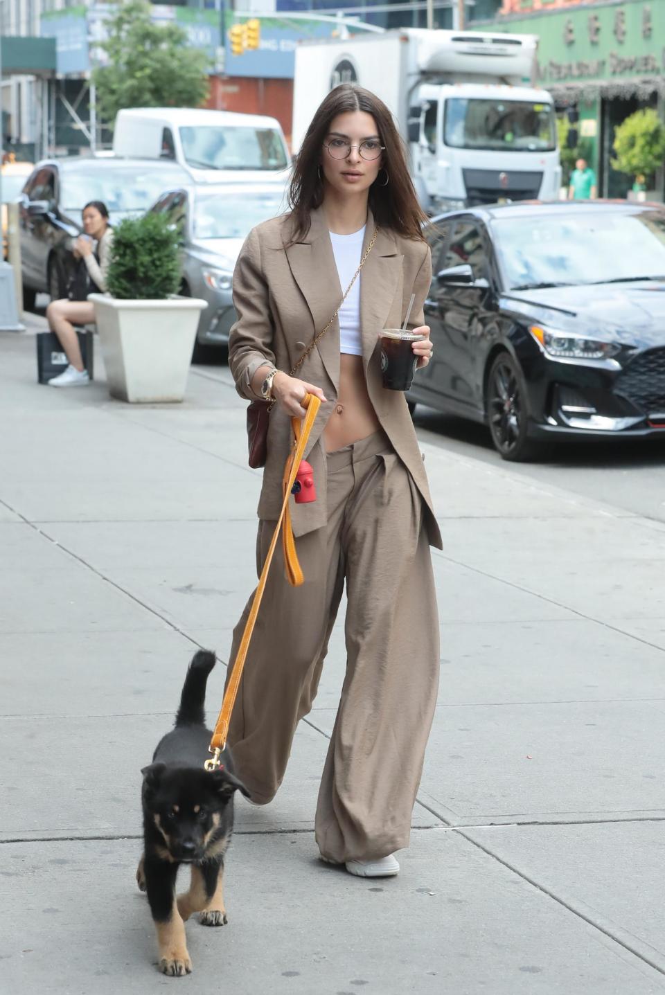 Emily Ratajkowski walking her dog in the Nasty Gal suit (SplashNews.com)