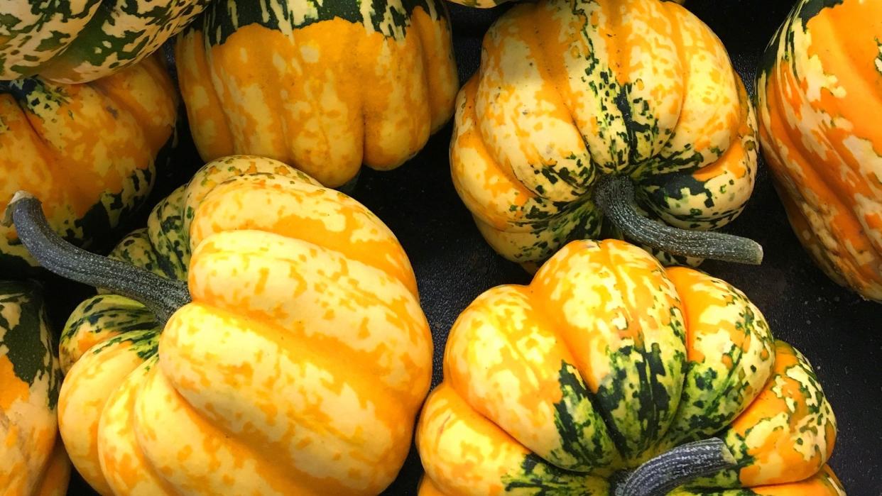 winter squash on display at a farmer's market