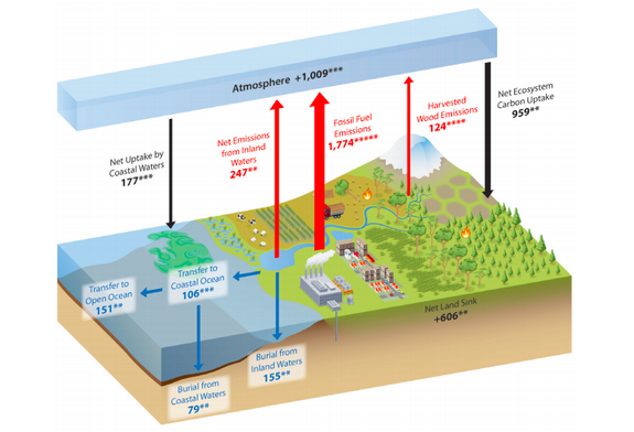 The carbon cycle in North America