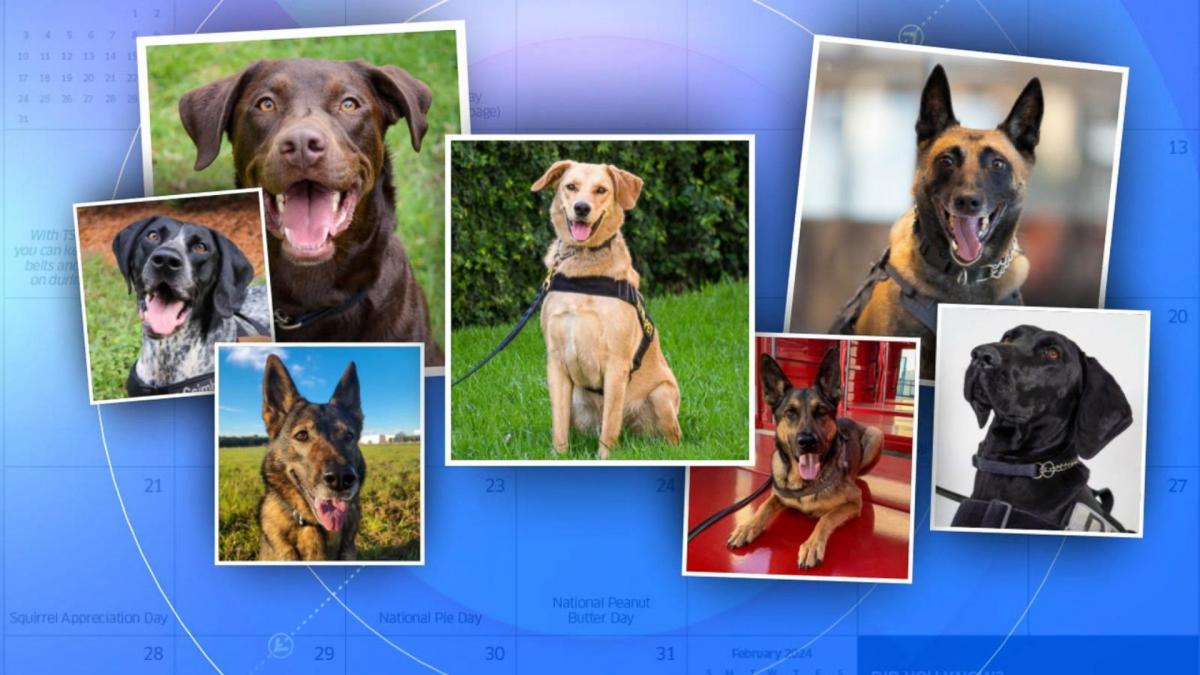 TSA releases 2024 canine calendar