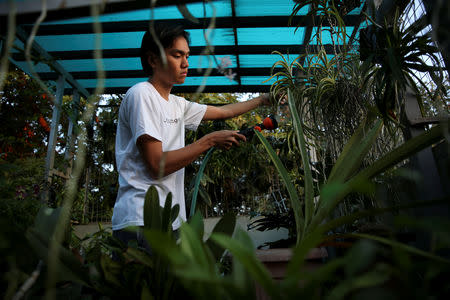 Oliver Emocling, 23, who works for a magazine, waters his plants on the rooftop of his family home in Malabon City, Metro Manila, Philippines, October 15, 2018. "I like plants so I water them every morning before I take a bath. For me it's a ritual to look after them every morning," Emocling said. REUTERS/Eloisa Lopez