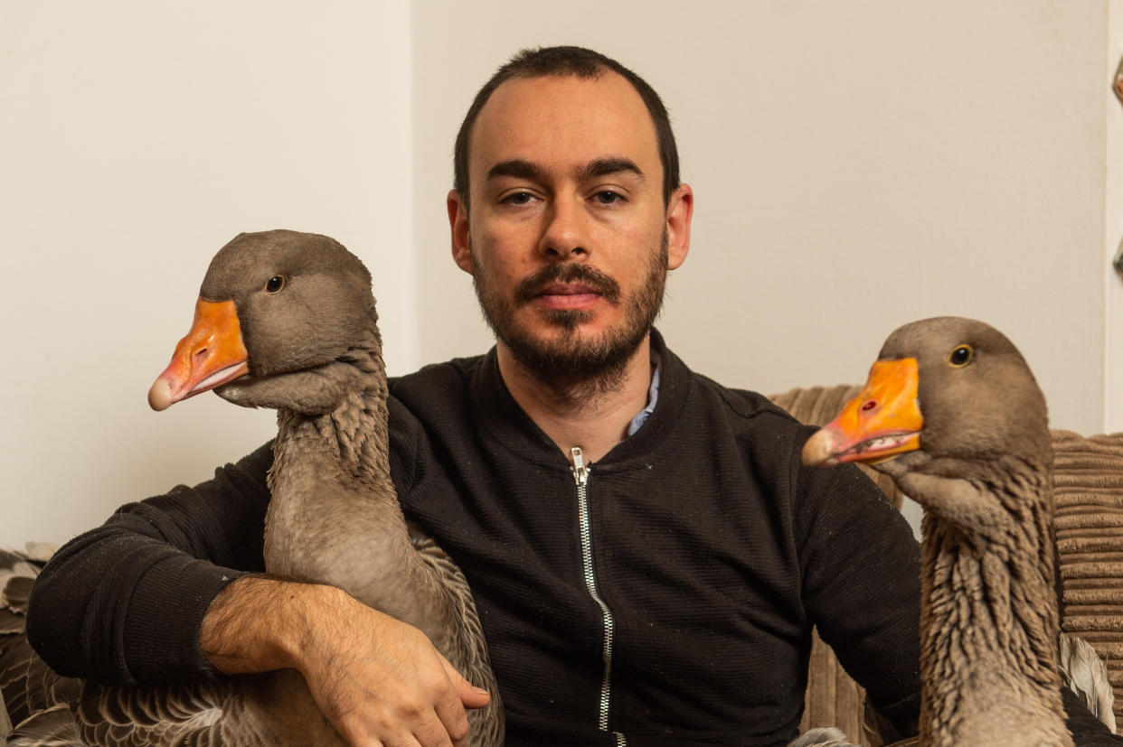 Sven Kirby, 34, has been served a noise abatement notice for his pet geese Norbert and Beep-Beep, pictured at home in Leeds, West Yorks., November 20 2020. See SWNS story SWLEgeese; A bachelor who bought two pet geese to keep him company has spoken of his devastation after the council ordered him to get rid of them - because of their constant honking. Sven Kirby, 34, bought the birds for Â£40 each in June and since then he has hand reared them to the point they freely waddle around his house wearing nappies. The geese, named Beep Beep and Norbert, are frequently been spotted walking with their beloved owner around Leeds, West Yorks., and they even accompany him to the pub. But Sven now faces the heartbreaking prospect of having to let them go after receiving an abatement notice from his local council saying the birds are making too much noise. The notice, from Leeds City Council, warns Sven he must "prevent the recurrence of the nuisance" within 28 days or face a fine of up to Â£5,000. The admin assistant said: "I love my geese, they're brilliant characters and great fun to keep as pets.