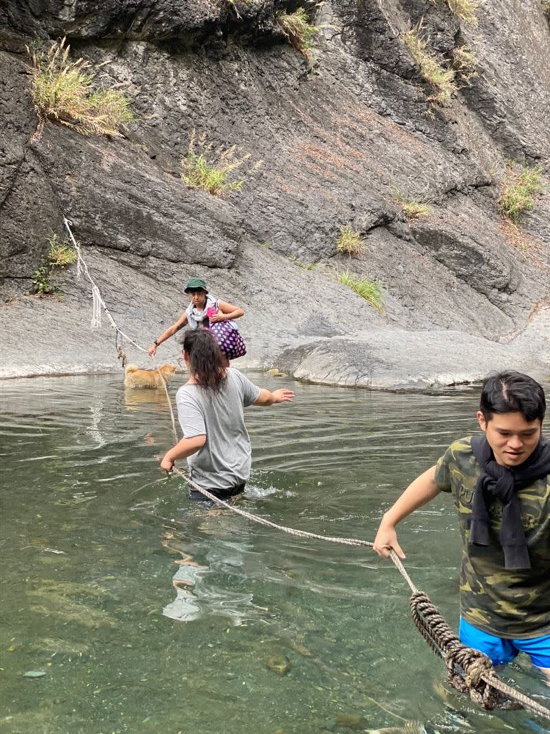 民眾分享在登山涉水過程中，遇上一隻超可愛的柴犬，牠竟像「主人」般帶路。（圖／民眾胡小姐提供）