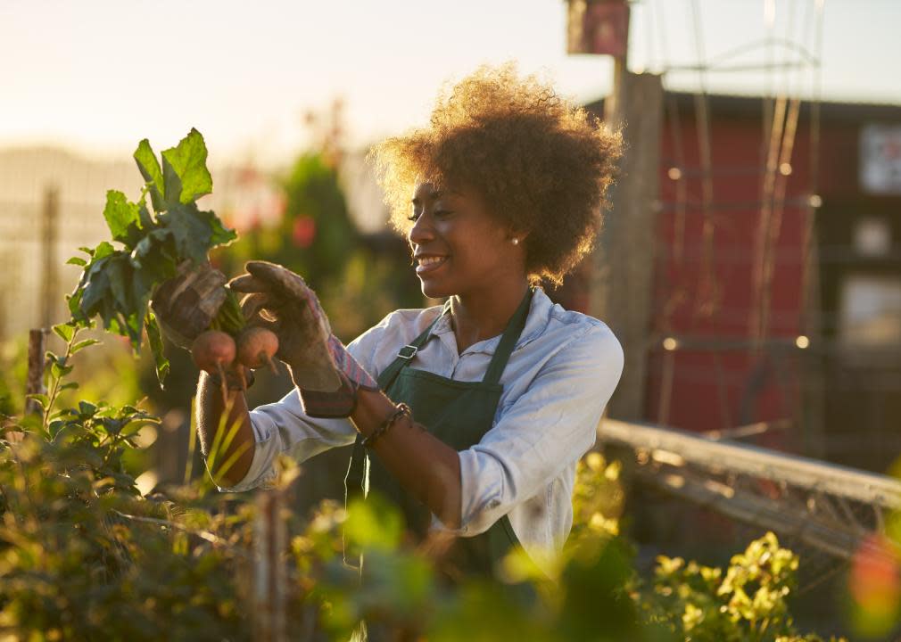 A woman inspecting beets in community garden.