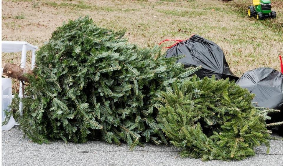 Many communities ask residents to leave their trees on the curb for pickup on regular trash days.