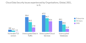 Data Security Market Cloud Data Security Issues Experienced by Organizations in 2021