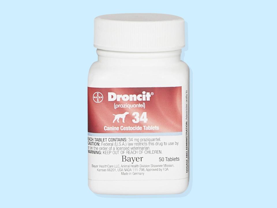 A bottle of Droncit for dogs, the best tapeworm medicine for dogs, is set against a blue background.