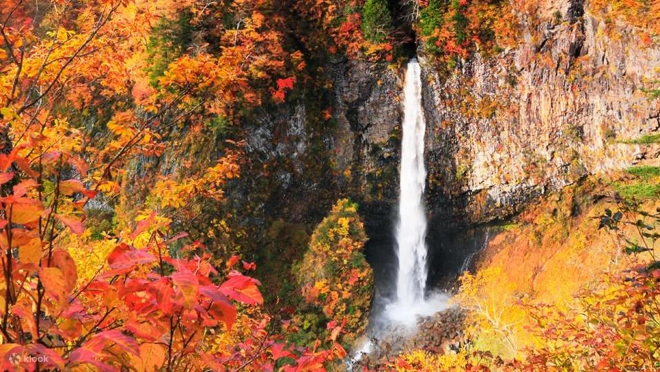 Nikko Toshogu Shrine & Kegon Waterfall One Day Tour from Tokyo. (Photo: Klook SG)