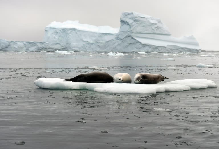 New research says that within 500 years, Antarctica will have lifted water lines by more than 15 meters (50 feet), reconfiguring Earth's coastlines