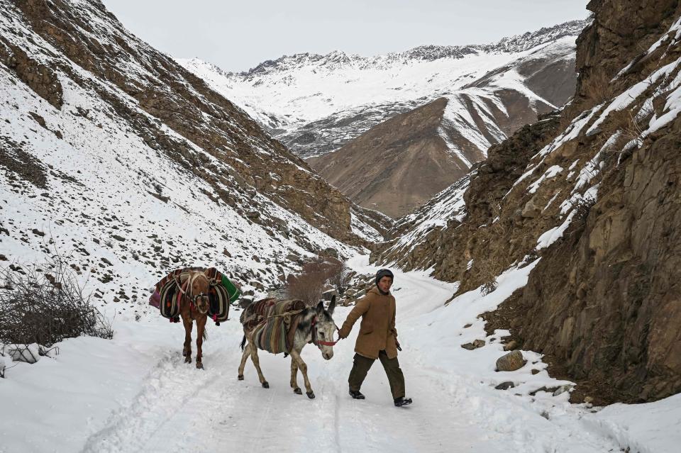 A boy leads a donkey and a horse along a hill covered with snow in Panjshir on January 12, 2022.