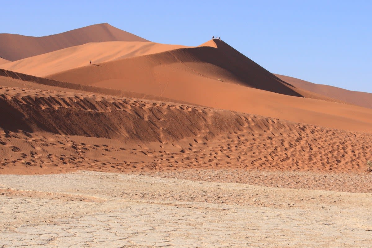 The Big Daddy dune is one of the three largest in Namib-Naukluft National Park  (Getty Images)