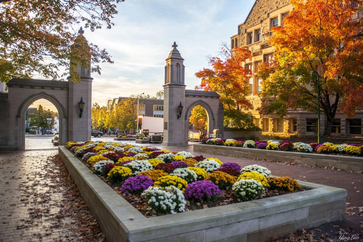 Beginning of campus of Indiana University, Bloomington, Indiana during autumn, flowers in the foreground with stone gate, a stone building on the right