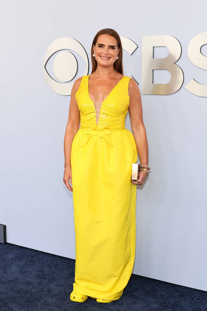 Brooke Shields on a red carpet, wearing a sleeveless gown with a deep V-neck and holding a small clutch