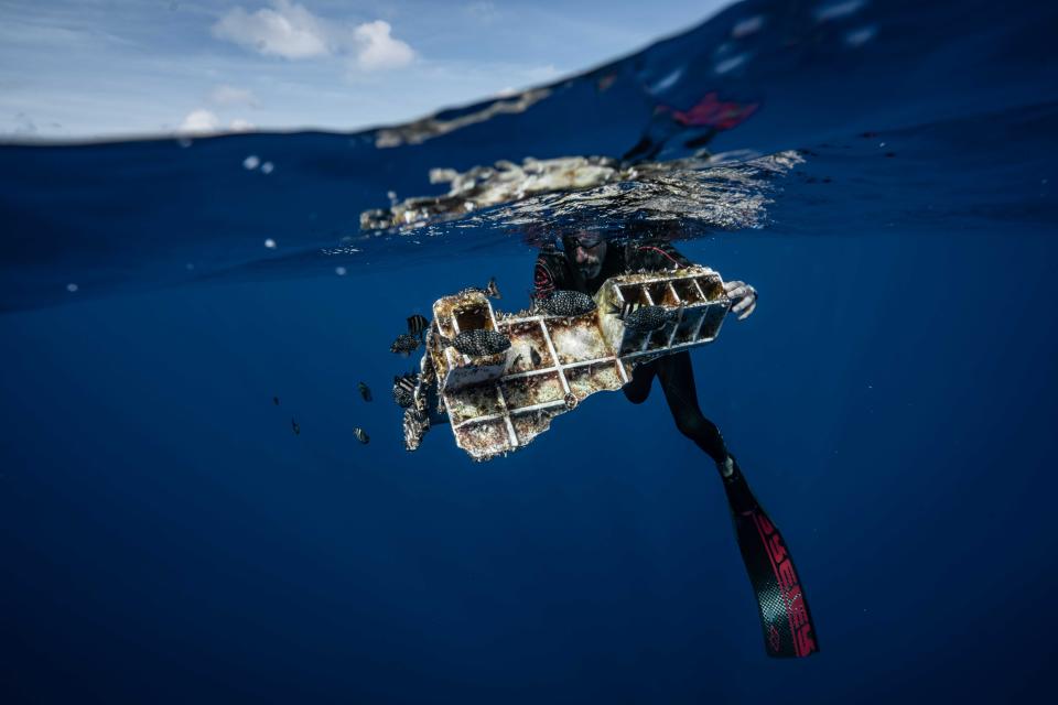 Lecomte holds a piece of a plastic crate that's become a haven for fish and a home for other marine life. (Photo: <a href="https://www.instagram.com/p/BzLUm2QhDoC/?utm_source=ig_embed" target="_blank">@joshmunoz/The Vortex Swim</a>)
