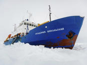 A Chinese icebreaker that was en route to rescue a ship stuck in Antarctic ice could not reach the vessel. It will stay in the area to provide support to an Australian ice breaker that's expected to arrive on Sunday. (Dec. 28)