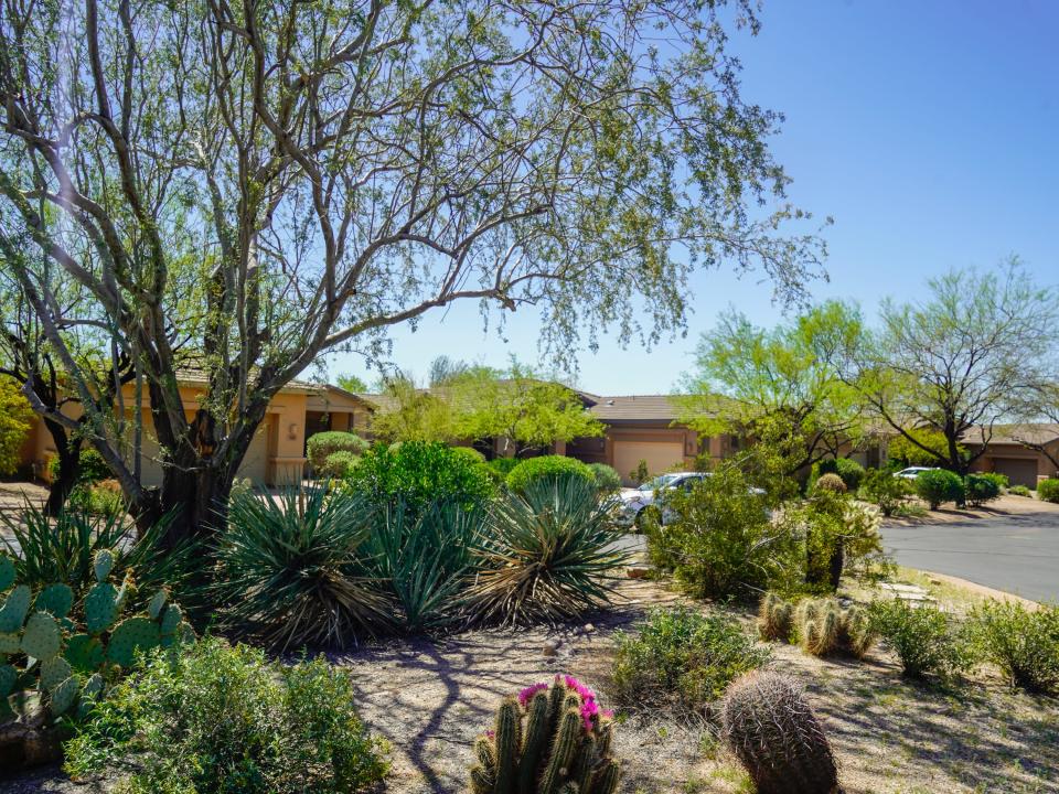 Adobe houses behind a courtyard garden filled with cacti and trees