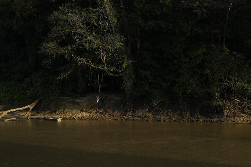 An Amerindian child swings from a tree using a rope and stick, on the banks of the Barama River in Chinese Landing, Guyana, Sunday, April 16, 2023. Called Chinese Landing for reasons residents no longer remember, the village is deep within lush forests of northern Guyana accessible primarily by riverboat. (AP Photo/Matias Delacroix)