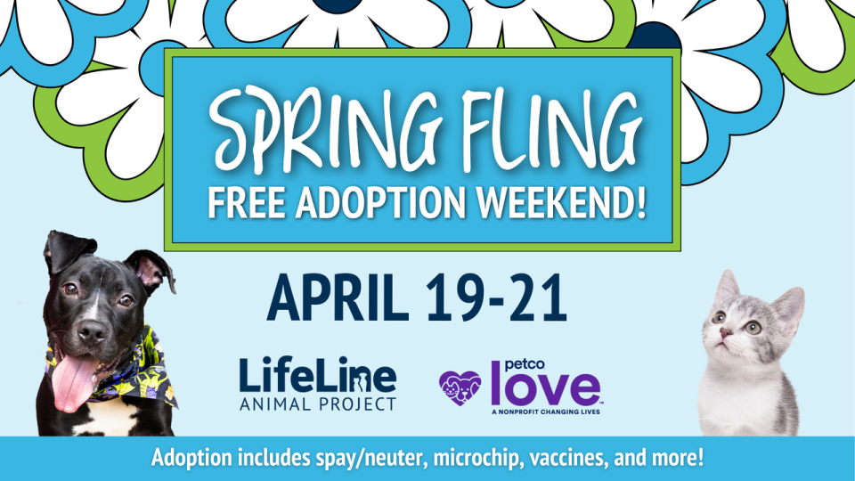 <div>Spring Fling Free Adoption Weekend at LifeLine Animal Project in Atlanta. (Credit: LifeLine Animal Project)</div>