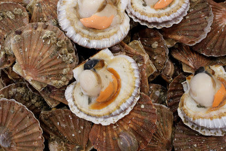 Scallops are displayed at the fish pavilion in the Rungis International wholesale food market as buyers prepare for the Christmas holiday season in Rungis, south of Paris, France, December 6, 2017. Picture taken December 6, 2017. REUTERS/Benoit Tessier