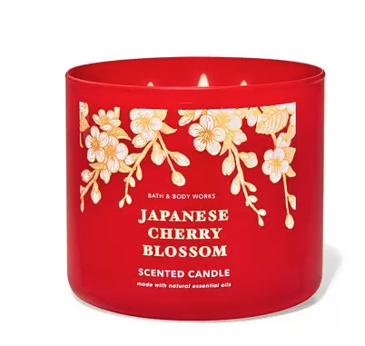 <p><a href="https://go.redirectingat.com?id=74968X1596630&url=https%3A%2F%2Fwww.bathandbodyworks.com%2Fp%2Fjapanese-cherry-blossom-3-wick-candle-026681691.html&sref=https%3A%2F%2F" rel="nofollow noopener" target="_blank" data-ylk="slk:Shop Now;elm:context_link;itc:0;sec:content-canvas" class="link ">Shop Now</a></p><p>Japanese Cherry Blossom 3-Wick Candle</p><p>bathandbodyworks.com</p><p>$3.25</p>