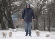 A man walks his puppies through the snow.