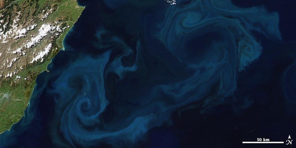 Phytoplankton can grow explosively over a few days or weeks. Ocean fertilization is designed to supercharge that process to capture carbon dioxide, but it can have harmful affects for other marine life. <a href="https://earthobservatory.nasa.gov/features/Phytoplankton" rel="nofollow noopener" target="_blank" data-ylk="slk:Robert Simmon and Jesse Allen/NOAA/MODIS;elm:context_link;itc:0;sec:content-canvas" class="link ">Robert Simmon and Jesse Allen/NOAA/MODIS</a>