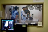 Nihon University professor Kazuya Edamura conducts X-ray examination to a cat at Nihon University Animal Medical Center in Fujisawa