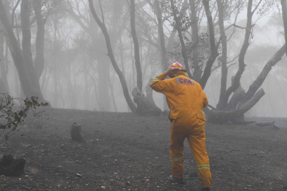 A CFA firefighter is seen in burnout land near Mount Glasgow, Victoria.