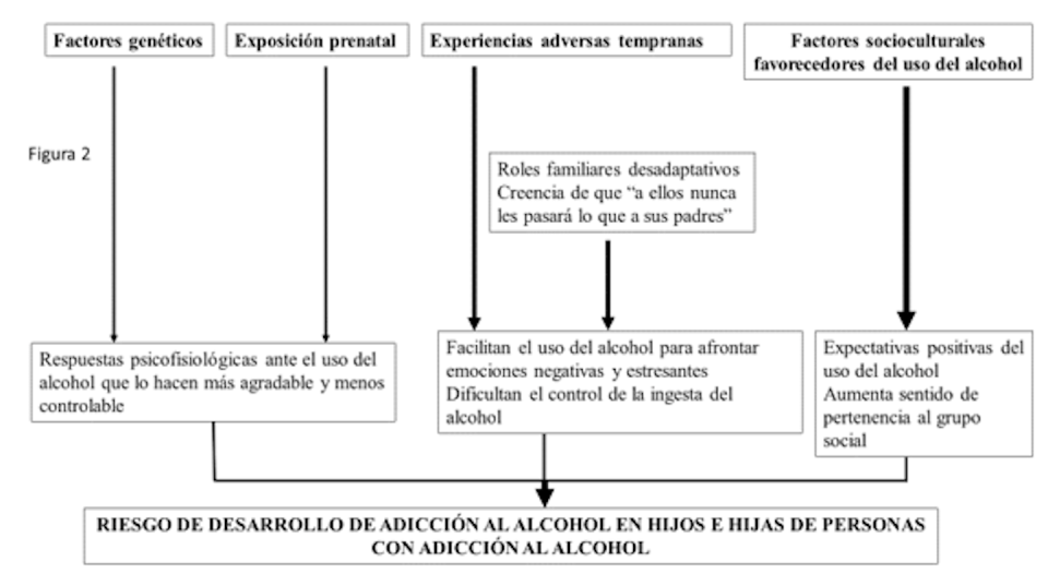 Diversas condiciones que actúan como factores de riesgo para desarrollar adicción al alcohol en hijos/as de personas con adicción a esta sustancia.