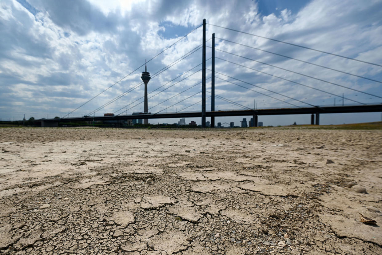 Dried up Rhine River GermanyINA FASSBENDER/AFP via Getty Images
