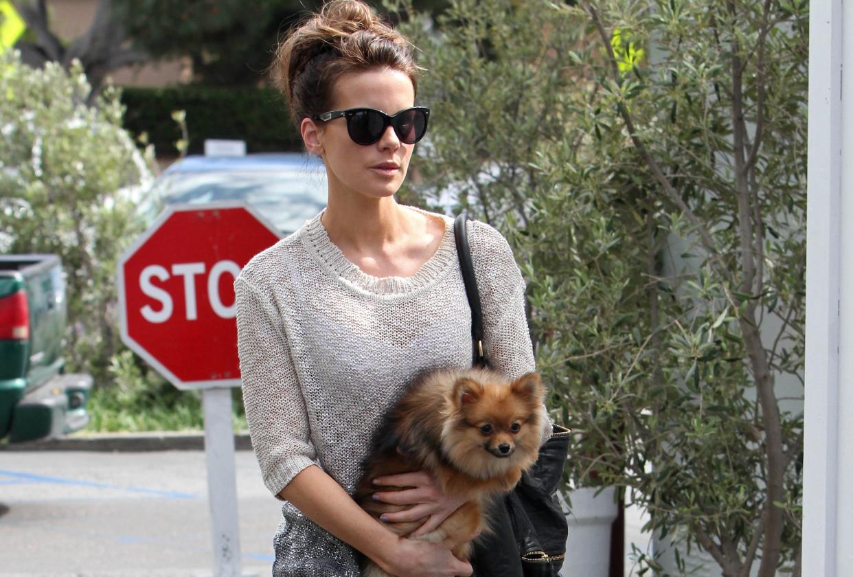 Kate Beckinsale evacuated all her pets amid the California wildfires (Credit: Getty Images)