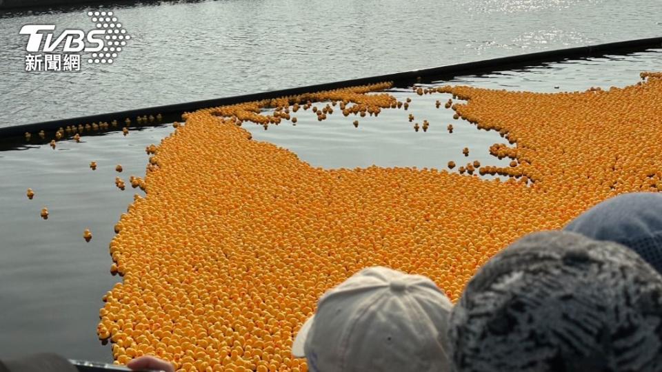 水域賽道裡有滿滿的小鴨隨波漂流，場面壯觀療癒。（圖／陳佳宜攝）