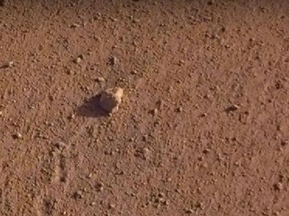 Nasa discovered that a rock about the size of a golf ball had moved 1 metre when a spacecraft touched down on Mars on 26 November, 2018 (Nasa)