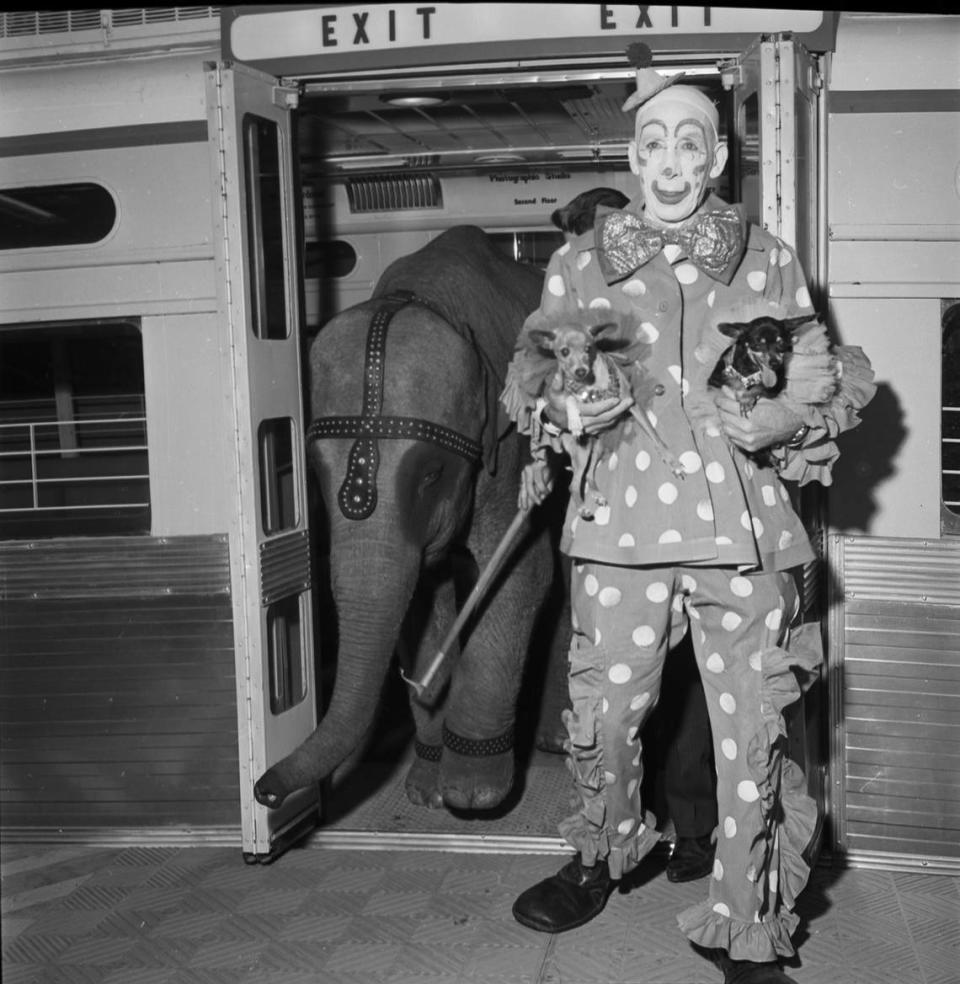 March 11, 1963: Ebo the Clown leaves the M & O Subway at Leonards Department Store with a baby elephant and two dogs to kick off the Spring Downtown Days free shows between 2nd and 3rd Streets, Fort Worth.