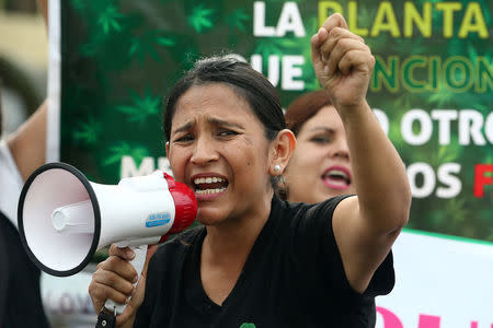 Ana Alvarez participates in a protest in favor of the legalization of medical marijuana outside the Interior Ministry in Lima, Peru March 1, 2017. REUTERS/Guadalupe Pardo