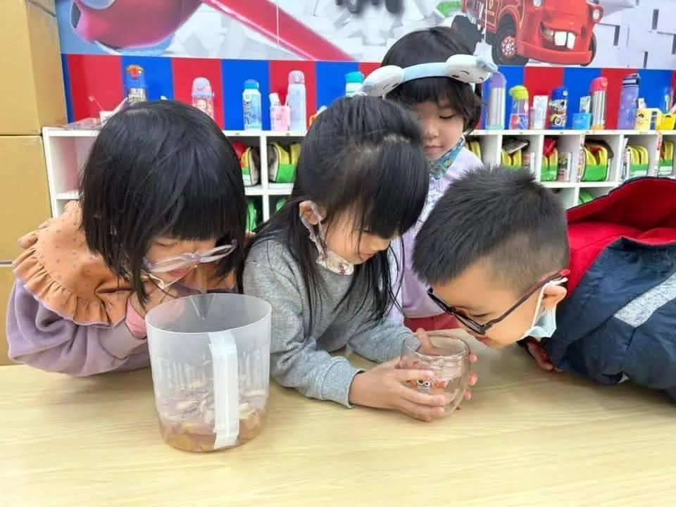 孩童在幼兒園內體驗的教學內容，並從中學習知識。(圖/聖奇幼兒園提供)