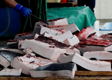 A worker carries meats of Baird's Beaked whale at Wada port in Minamiboso