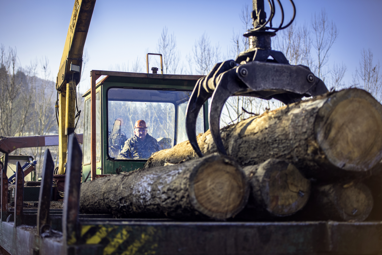 Logging industry