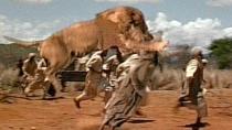 <p> <strong>As Seen In:</strong><em> The Ghost And The Darkness</em> (1996) </p> <p> <strong>The Cats:</strong> A pair of man-eating lions, legendary for their blood-spilling prowess. It takes the combined efforts of Michael Douglas and Val Kilmer to bring them down, and even their skeletons are enough to get the flesh crawling. As the films narrator puts it, if you dare lock eyes with them, you will be afraid. </p> <p> <strong>If They Were Dogs:</strong> The problem could quickly have been solved with a can of Winalot and a rifle. </p>