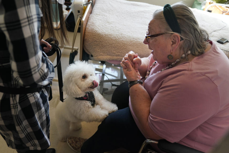 Eileen Nagle, 79, talks with Zeus, a bichon frise, as he visits her room at The Hebrew Home at Riverdale in New York, Wednesday, Dec. 9, 2020. New dog recruits are helping to expand the nursing home's pet therapy program, giving residents and staff physical comfort while human visitors are still restricted because of the pandemic. (AP Photo/Seth Wenig)