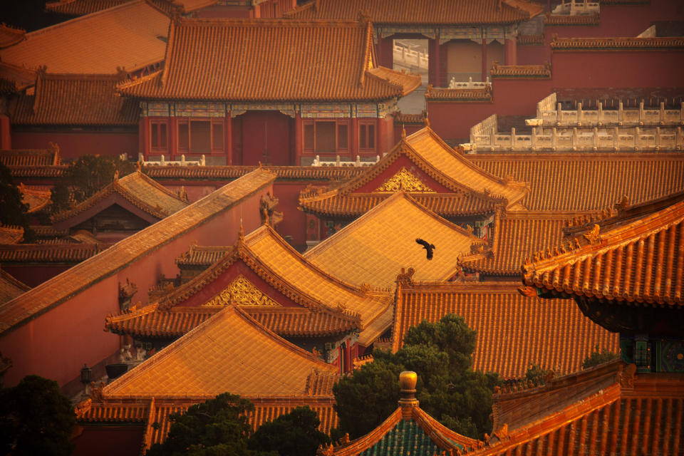 A bird flies over the Forbidden City, which is closed to the public due to the coronavirus outbreak, in Beijing, China, Tuesday, April 28, 2020. The Forbidden City is expected to reopen on May 1. (AP Photo/Mark Schiefelbein)