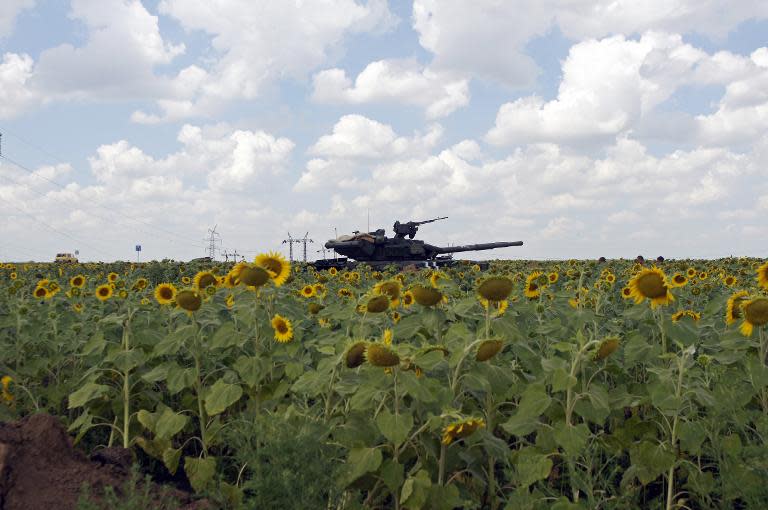 A Ukrainian army tank is positioned in a sunflower field near the village of Maryinka, a suburb of Donetsk in eastern Ukraine on August 5, 2014